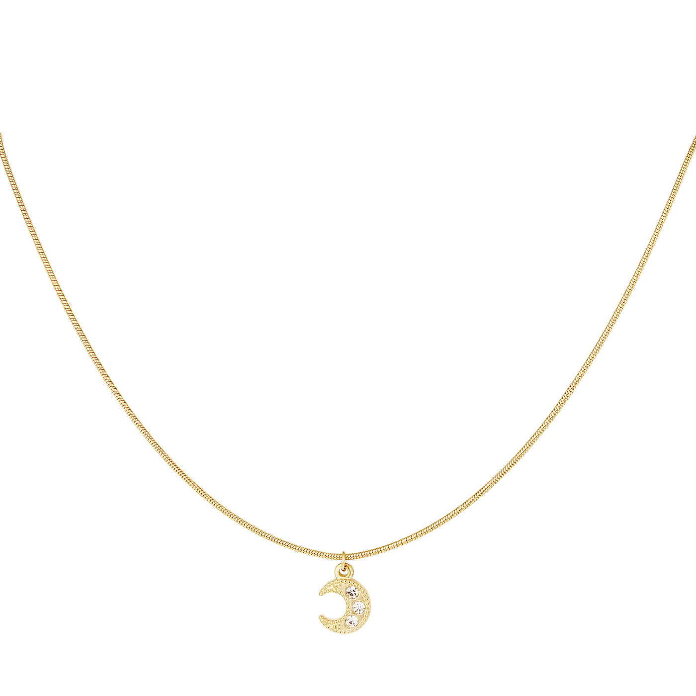 Ketting | Manenschijn goud