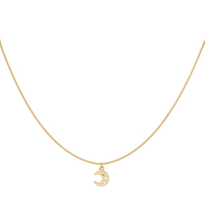 Ketting | Manenschijn goud